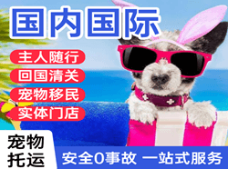 莫高航空空运国际宠物托运 【国